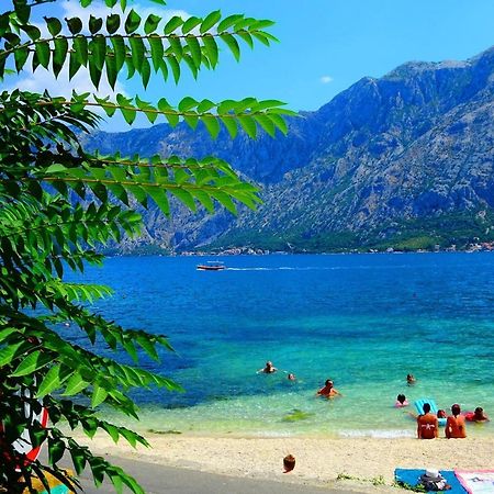 Bay Of Kotor View Apartment With Pool Prcanj Exterior photo