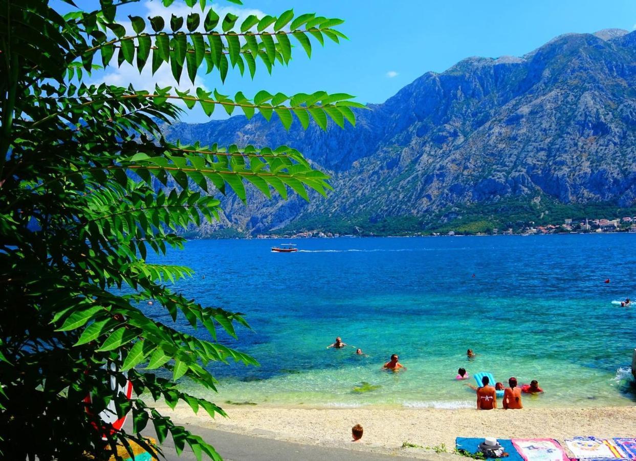 Bay Of Kotor View Apartment With Pool Prcanj Exterior photo